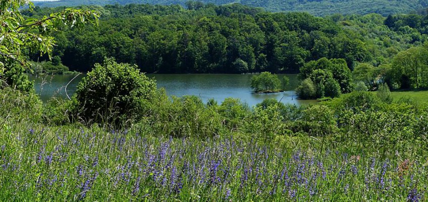 stausee ehmetsklinge / NaturOrte