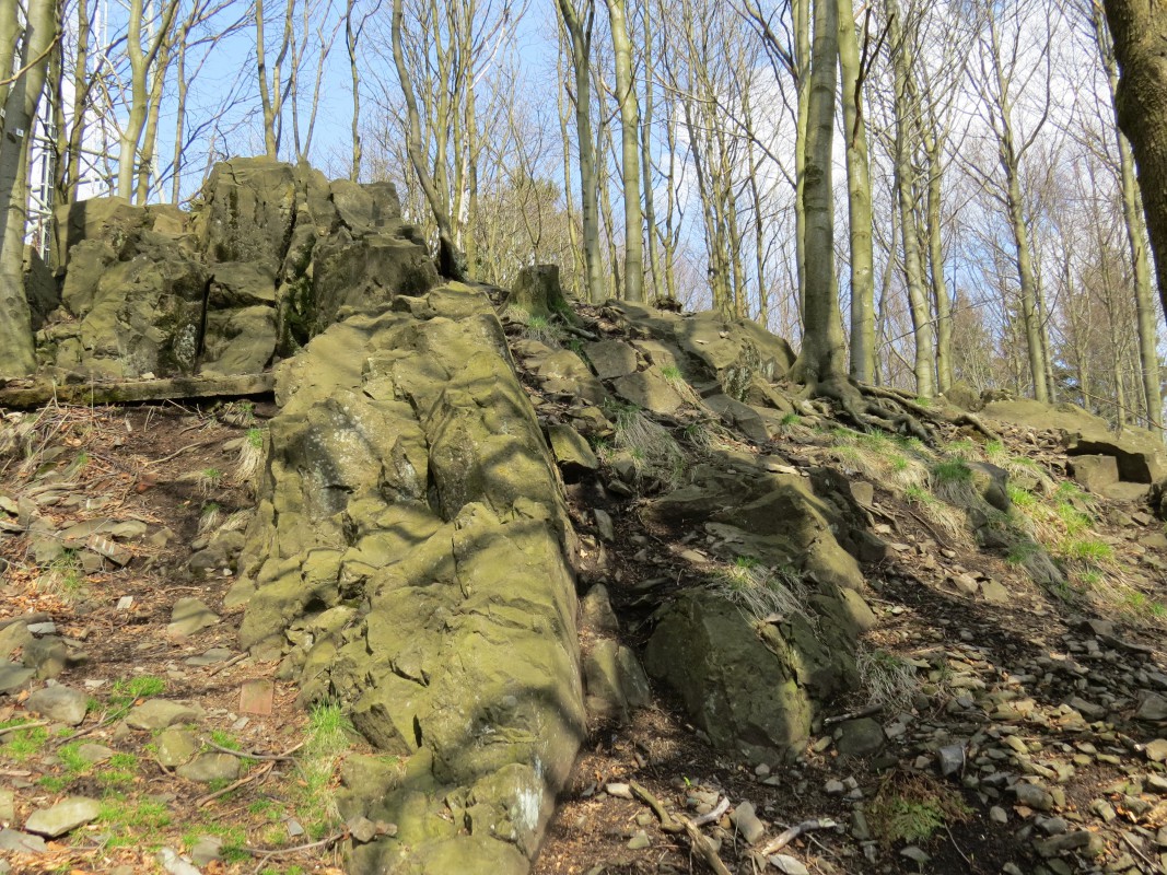 Hoherodskopfgipfel: ein Geotop im Natupark Vulkanregion Vogelstein in Hessen